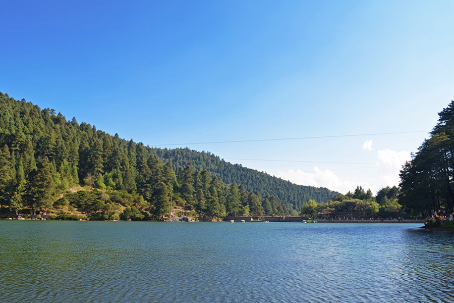 Ecoturismo en el Parque Nacional El Chico